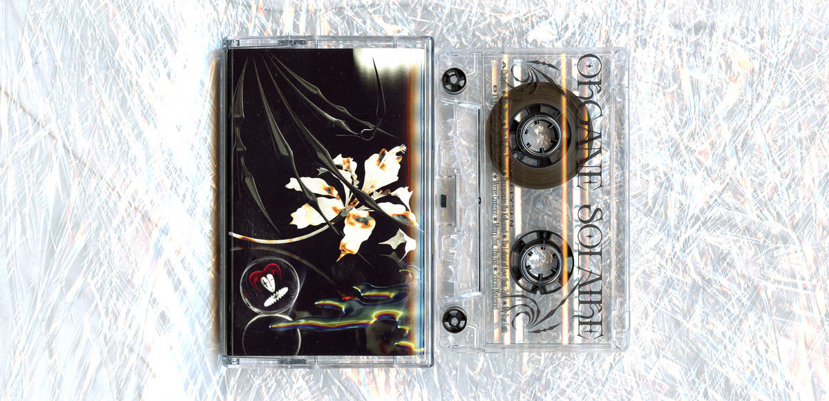 KRISTÝNA SIDLÁROVÁ