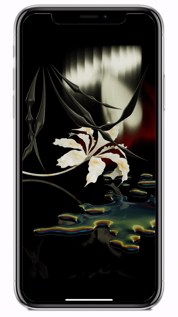 KRISTÝNA SIDLÁROVÁ