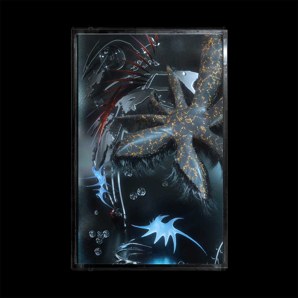 KRISTÝNA SIDLÁROVÁ